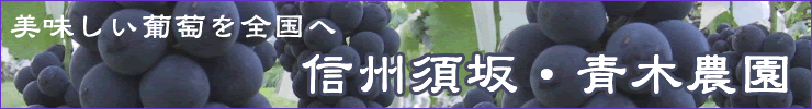 青木農園・信州須坂の美味しいぶどうを日本全国へ